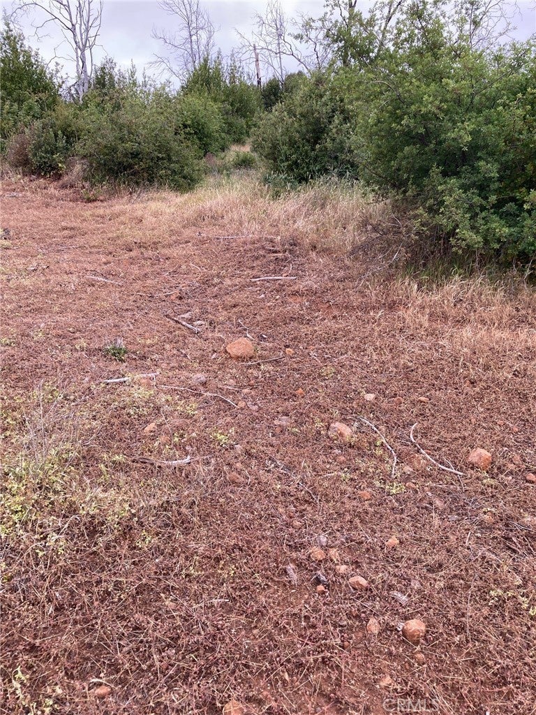 Photo of Listing #SN25091692