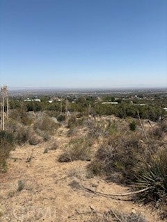 Photo of Listing #IV25091741