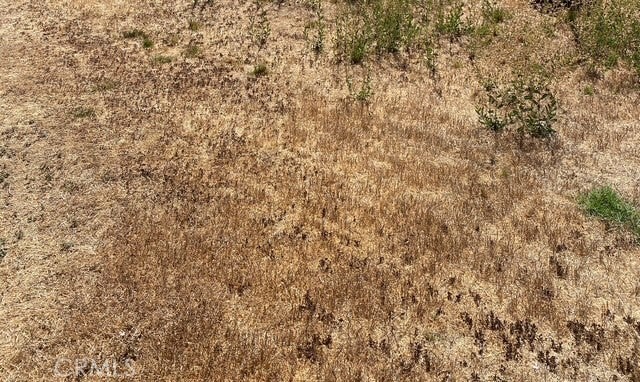 Photo of Listing #PW25091742