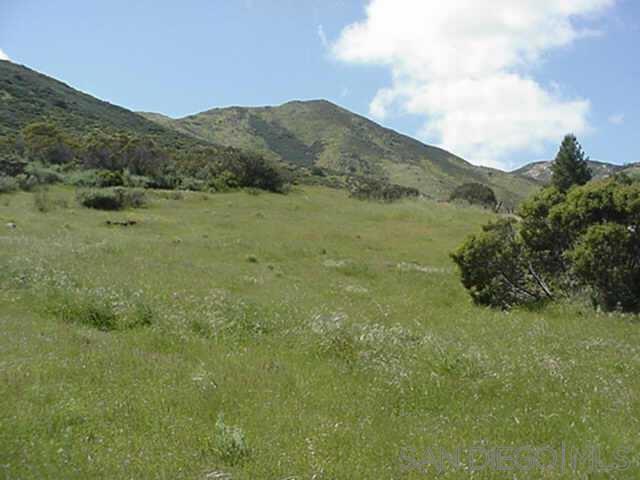 Photo of Listing #250025792SD