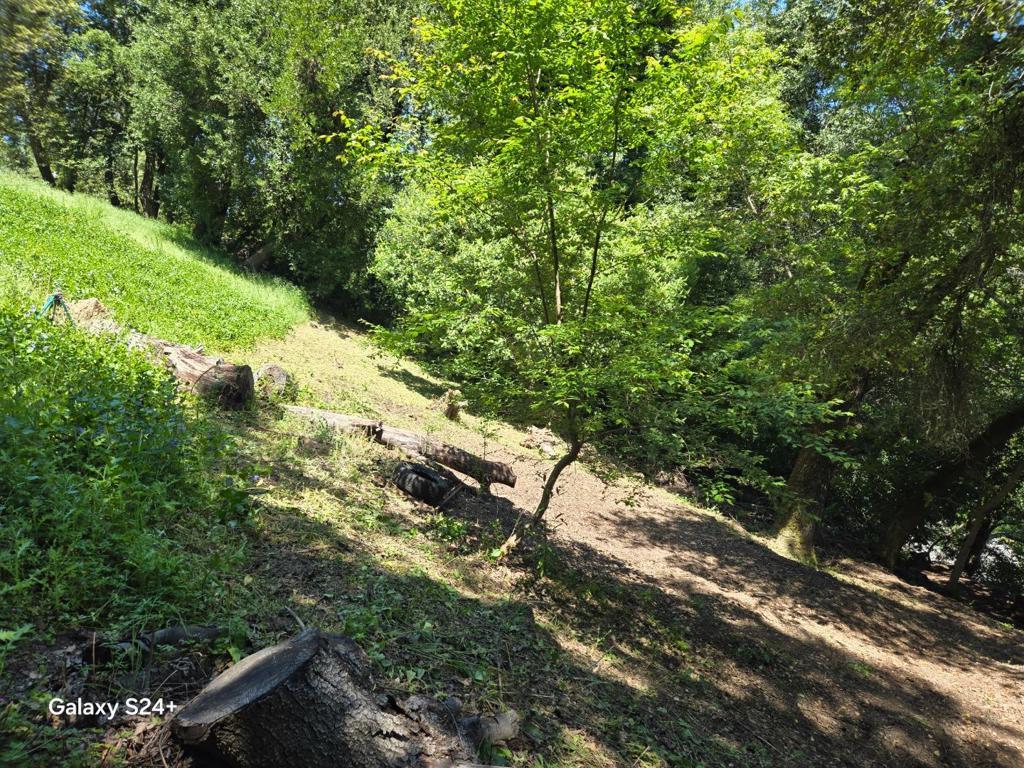 Oldsantacruzhwy, Los Gatos