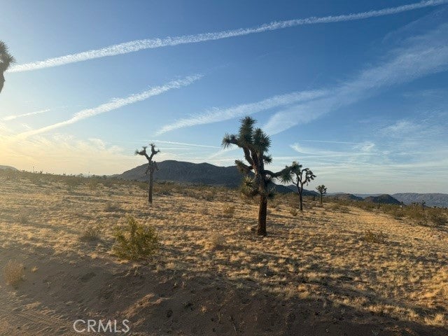 Photo of Listing #JT25095852