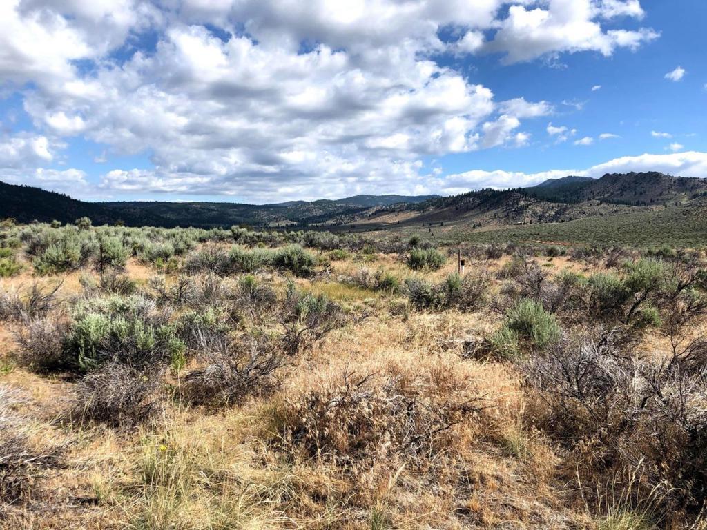 74 Dailey Court, Chilcoot