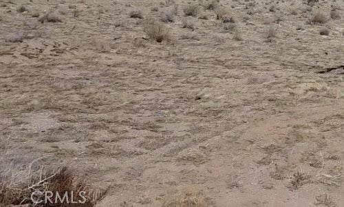 Photo of Listing #IG25100109