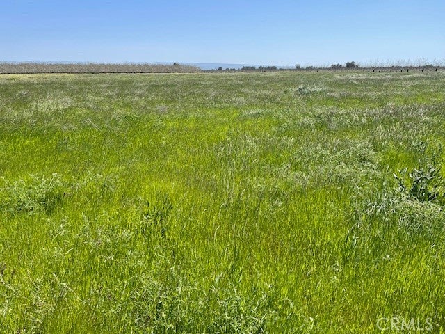 El Camino Ave., Gerber