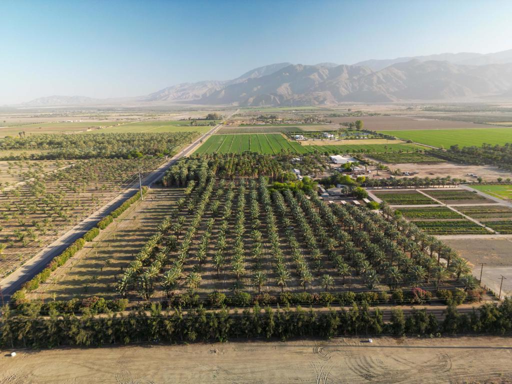 Photo of Listing #219129675DA