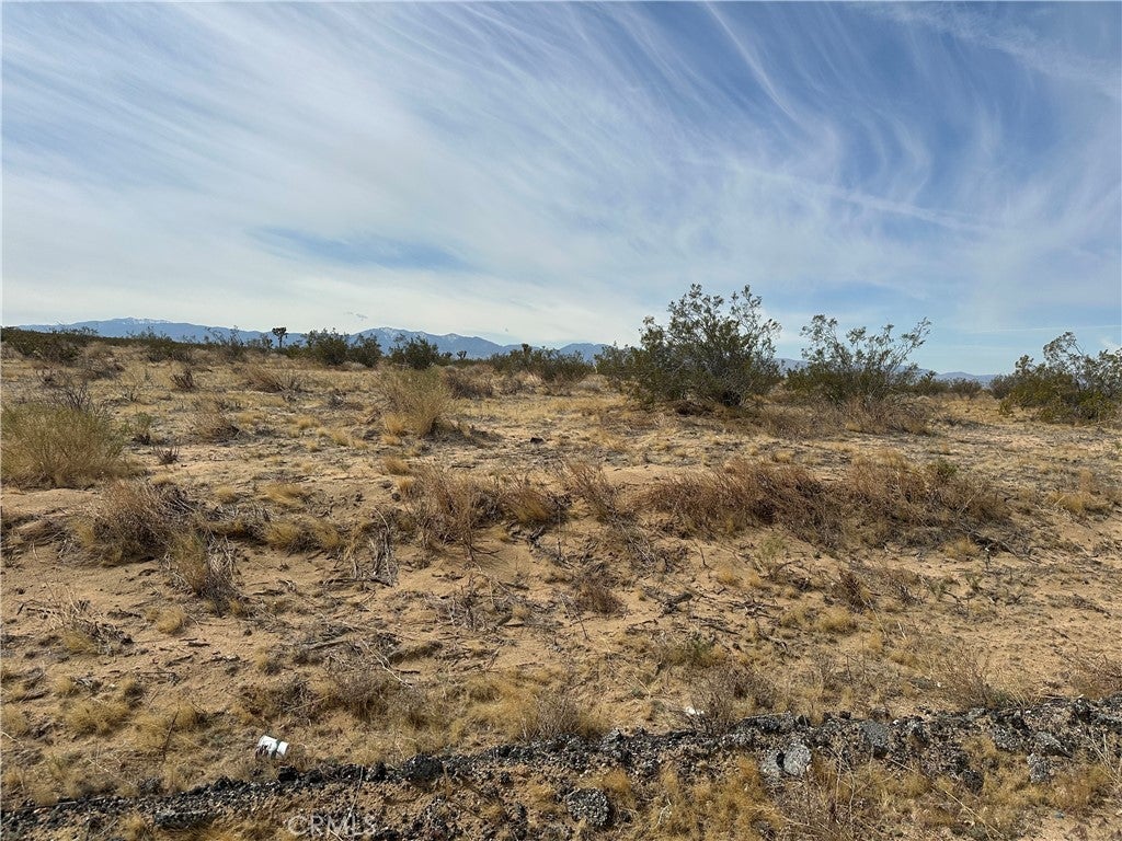 Photo of Listing #SR25101110