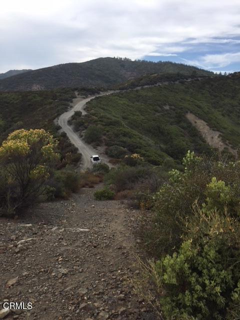 Photo of Listing #P1-22082
