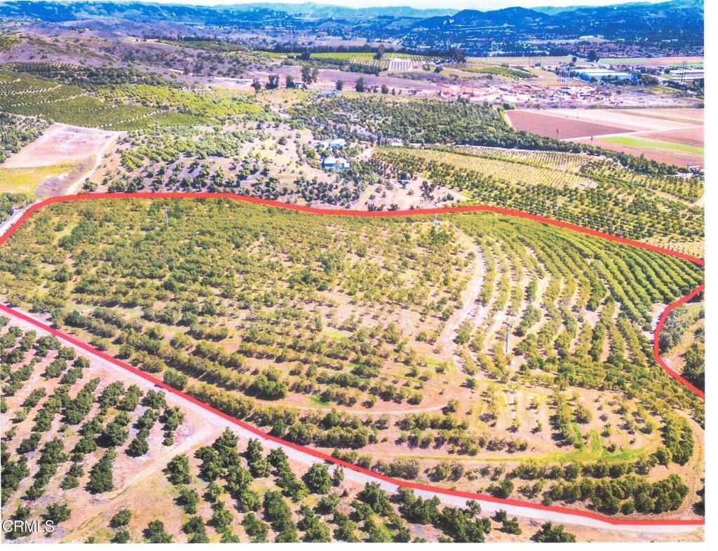 Photo of Listing #V1-29783