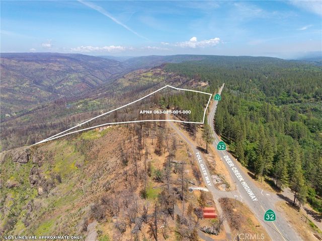 Toll Gate Way, Forest Ranch