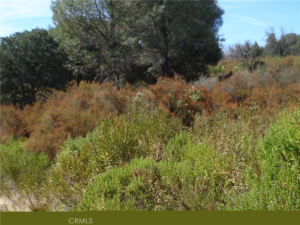 Photo of Listing #LC25102568