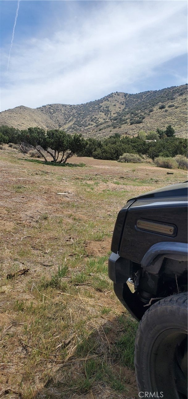 Photo of Listing #SR25102739