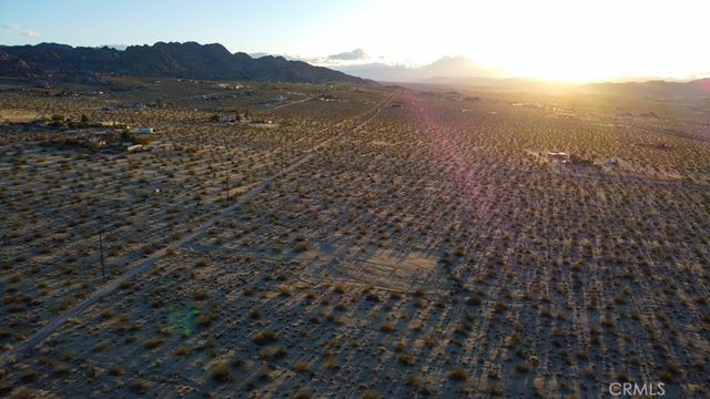 Cottonwood, Joshua Tree