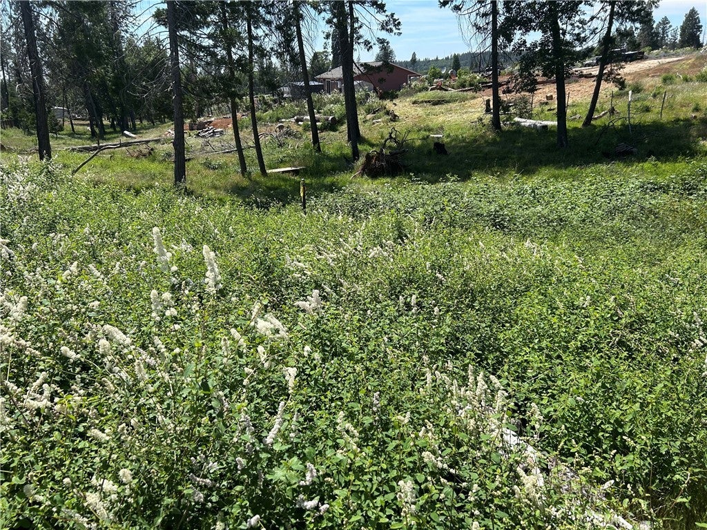 Photo of Listing #PA25104364