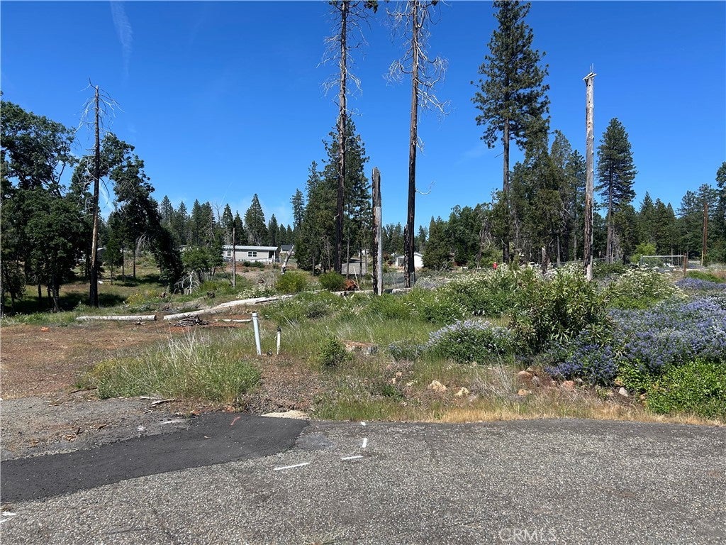 Photo of Listing #PA25104364