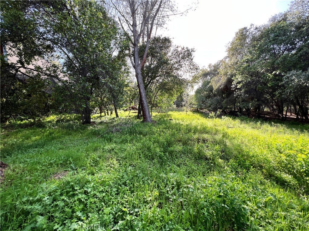 Photo of Listing #LC25104395