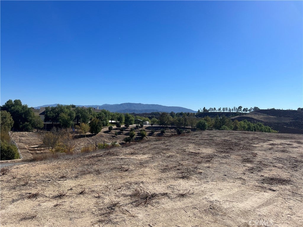 Photo of Listing #SW25081203