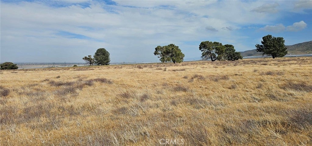 Photo of Listing #SR25103849