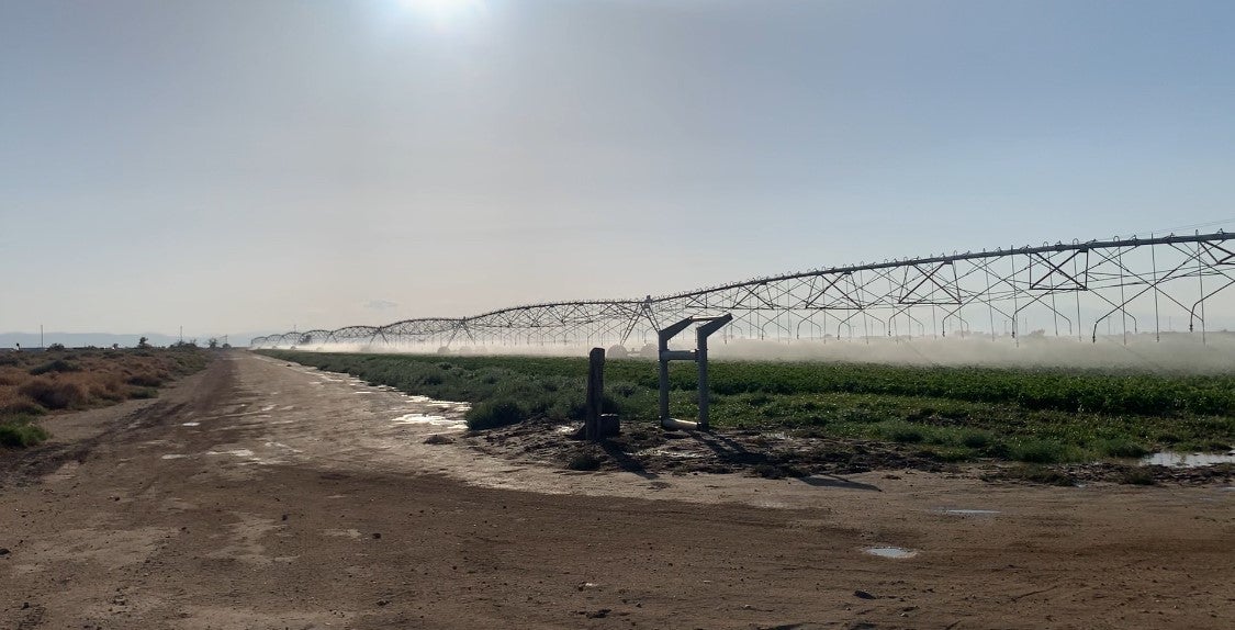 Photo of Listing #BB25106907