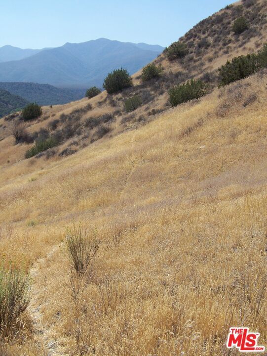 Photo of Listing #25538721