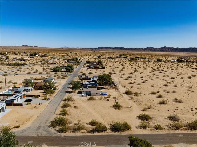 1st, Joshua Tree