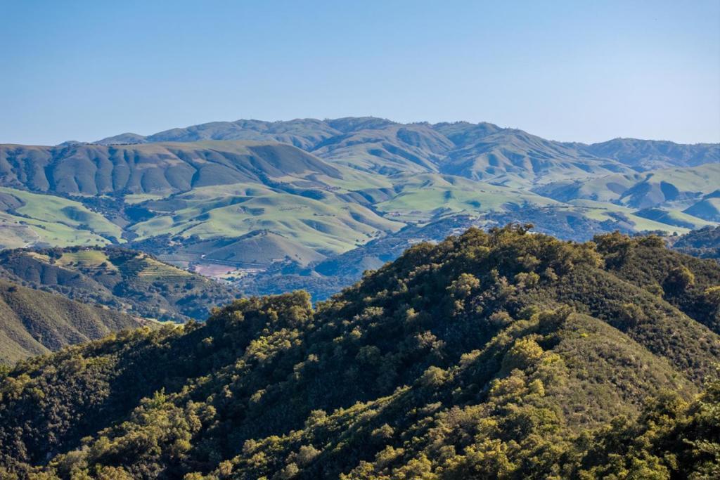 Photo of Listing #ML82006903