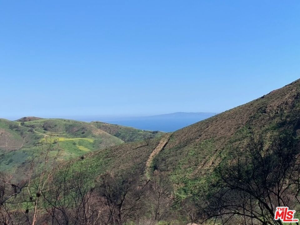 Photo of Listing #25535257