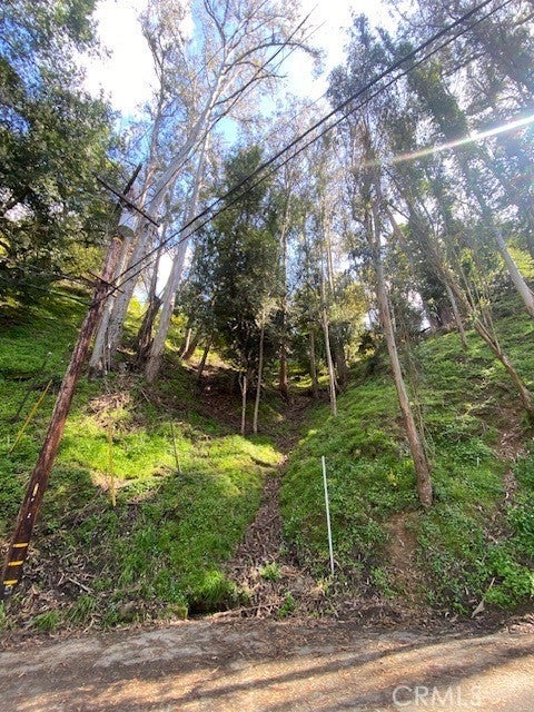 Photo of Listing #SR25100393