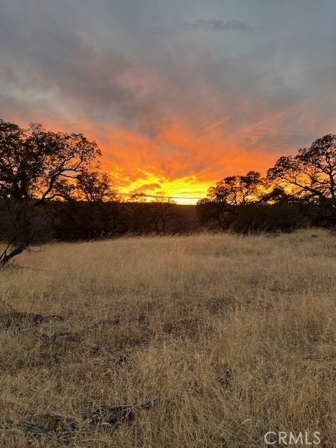 Photo of Listing #OR25107258