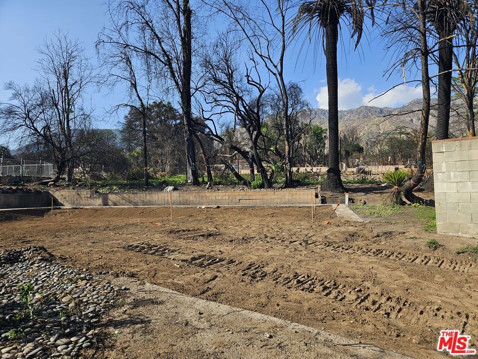 Photo of Listing #25537415