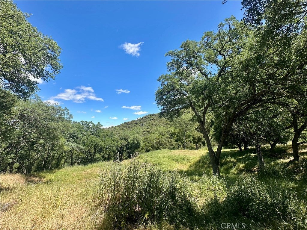 Photo of Listing #PI25109403