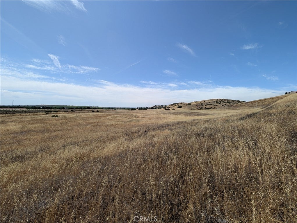 Photo of Listing #SC25109504