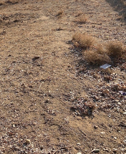 Photo of Listing #PW25109705