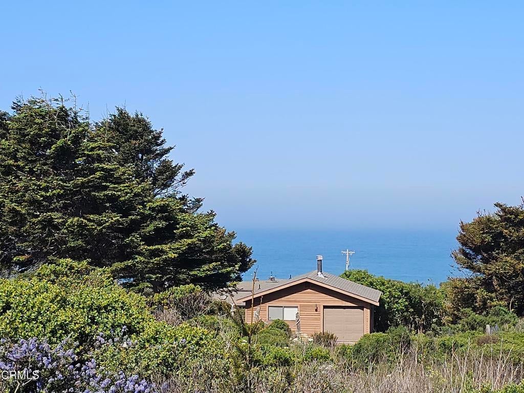 Photo of Listing #C1-11016