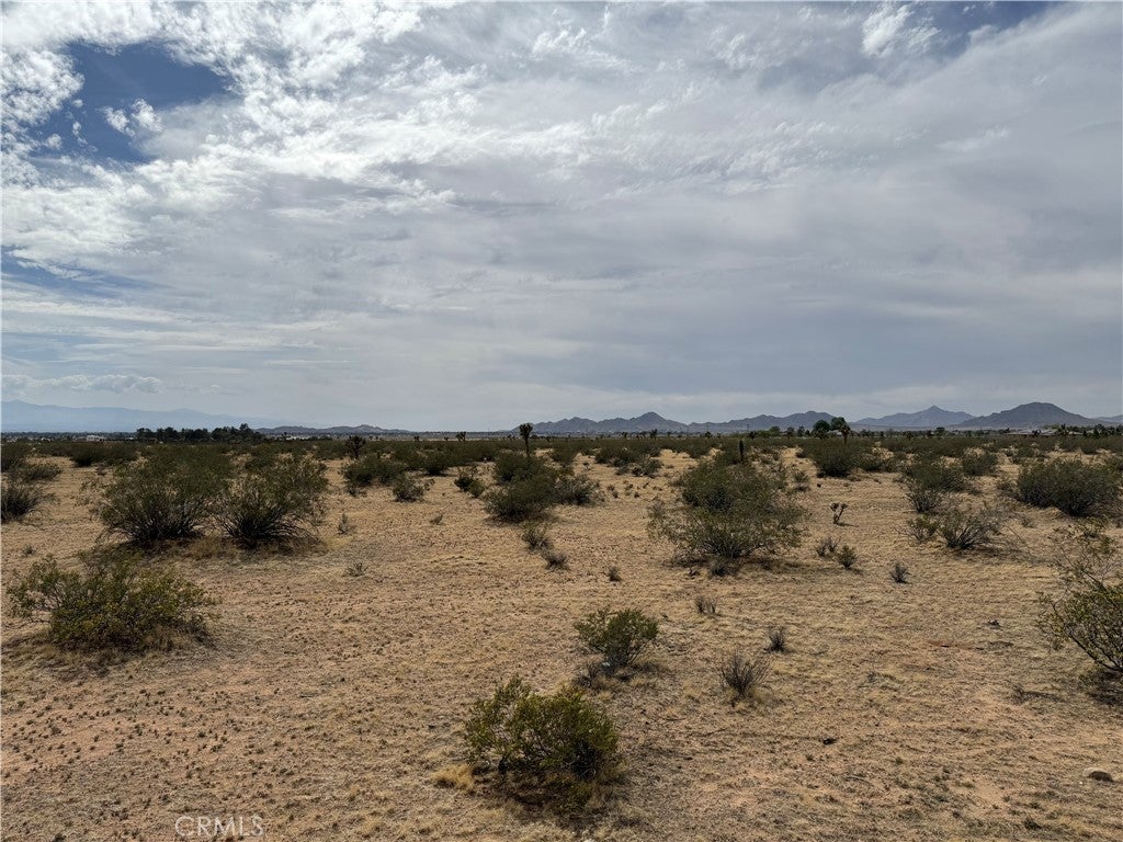 Photo of Listing #IV25111794