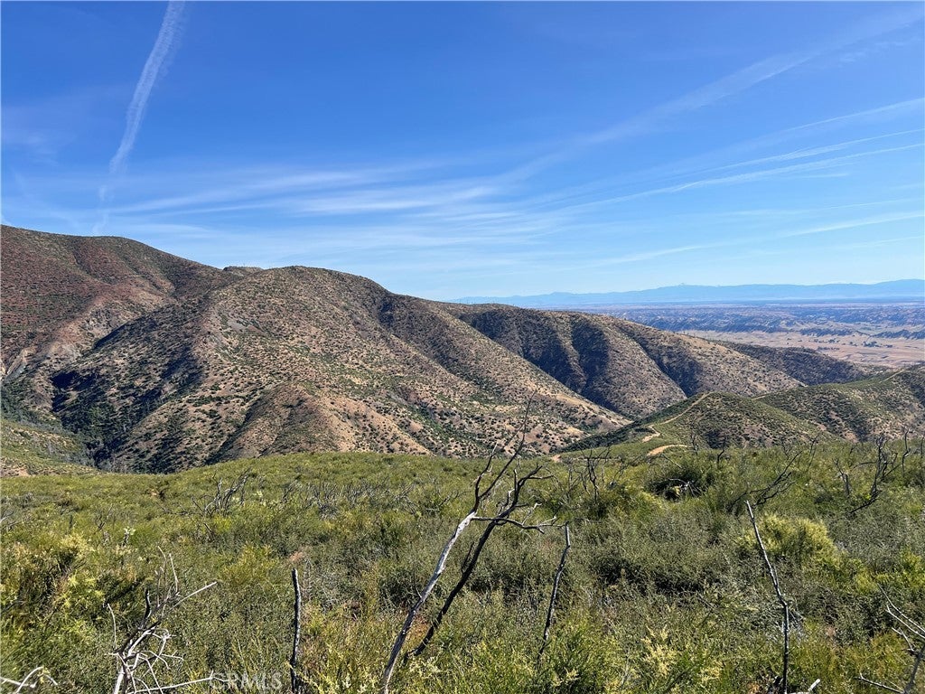 County Road 313, Elk Creek
