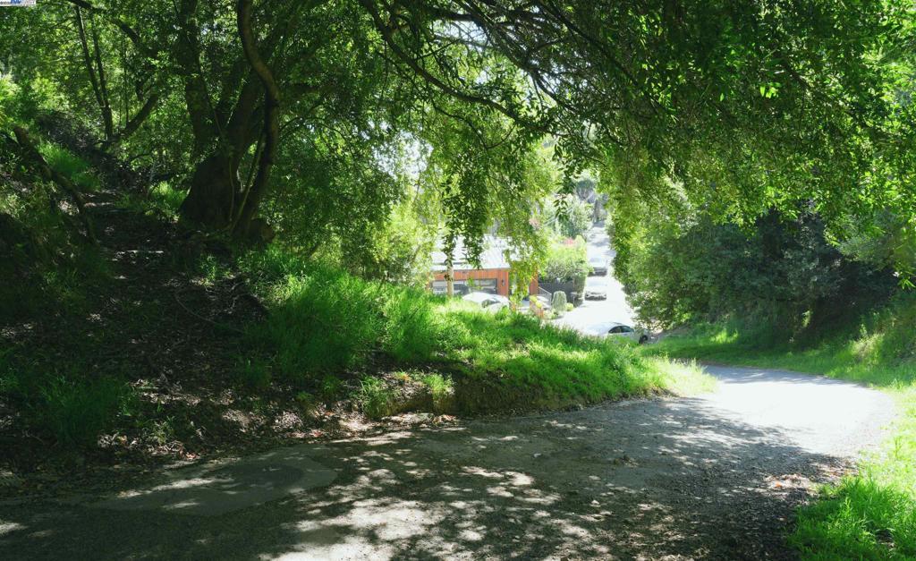 Willowbank Ct, Oakland