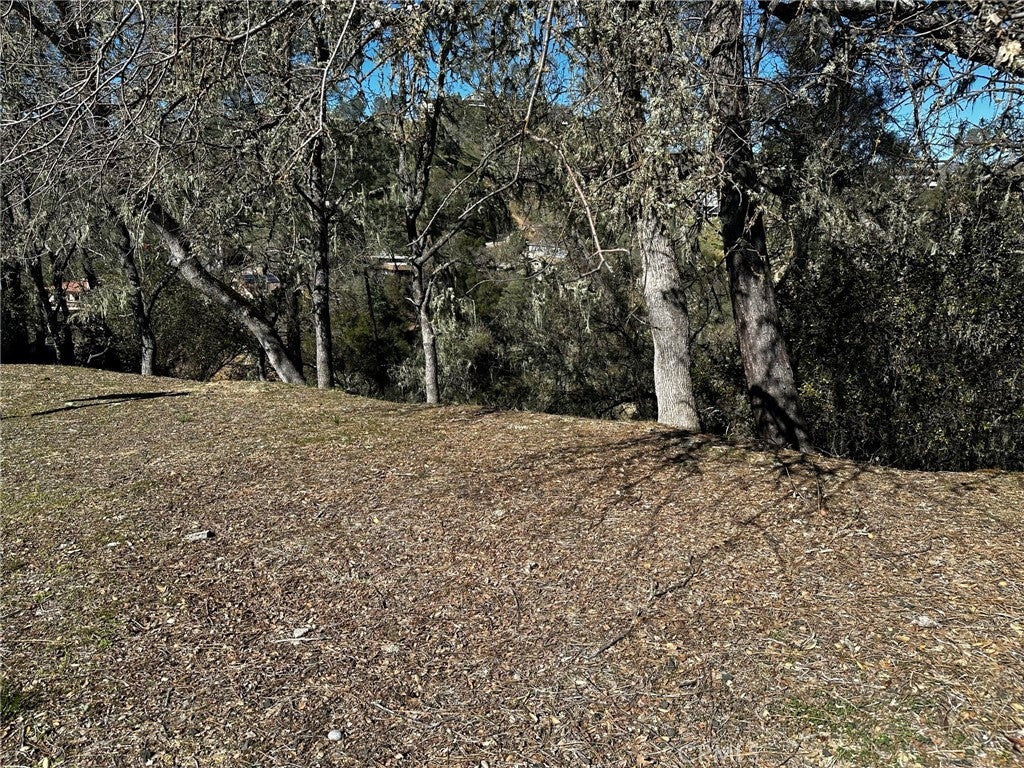 8209 Woody Point Lane, Bradley