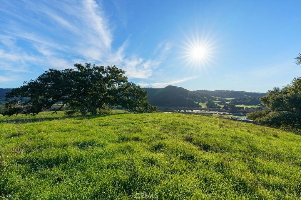 Photo of Listing #SC25113286