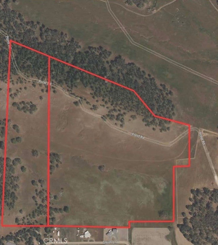 Photo of Listing #LC25115436