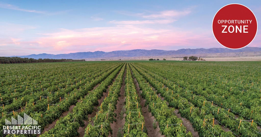 Photo of Listing #219130521DA