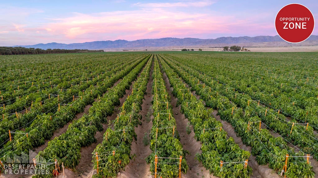 Photo of Listing #219130529DA