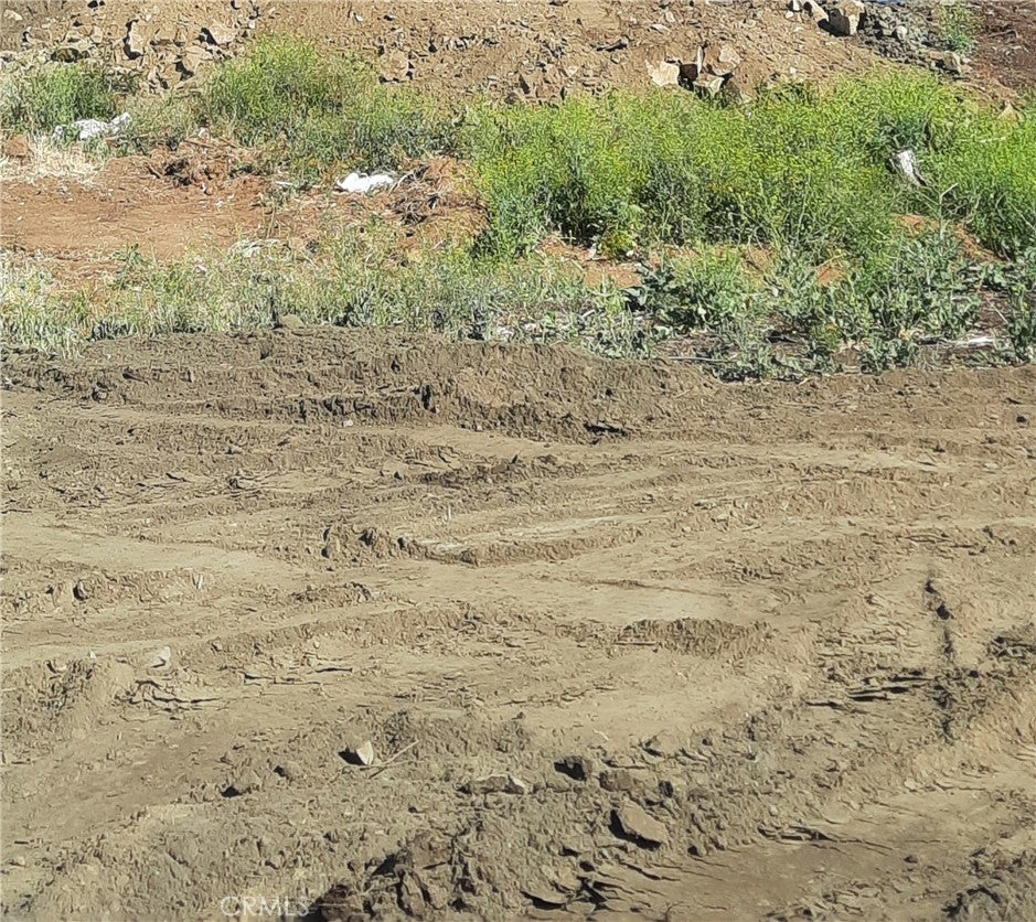 Photo of Listing #IV25115683