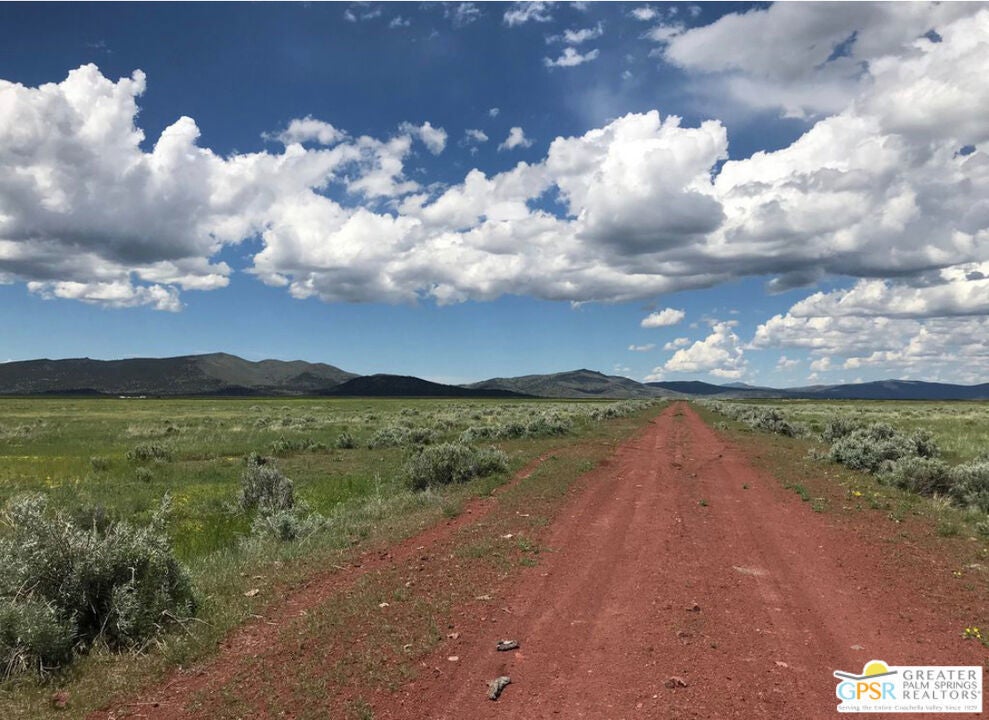 Photo of Listing #25543233PS