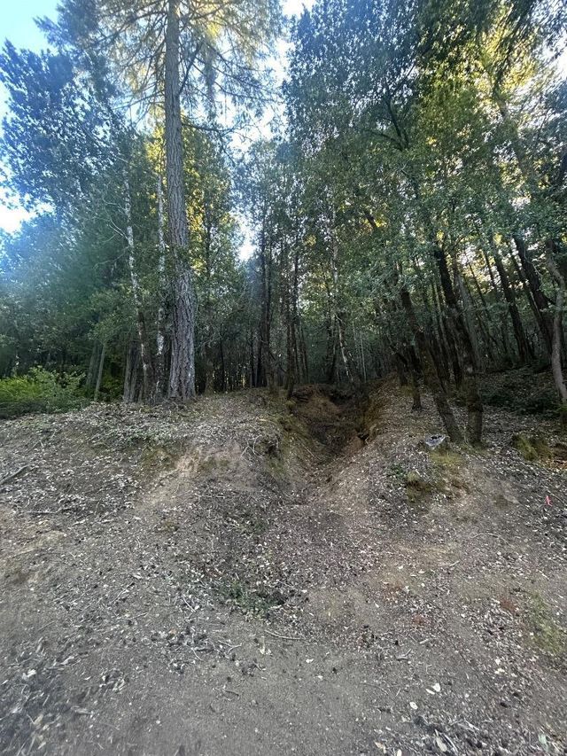 24858 Clover Road, Willits