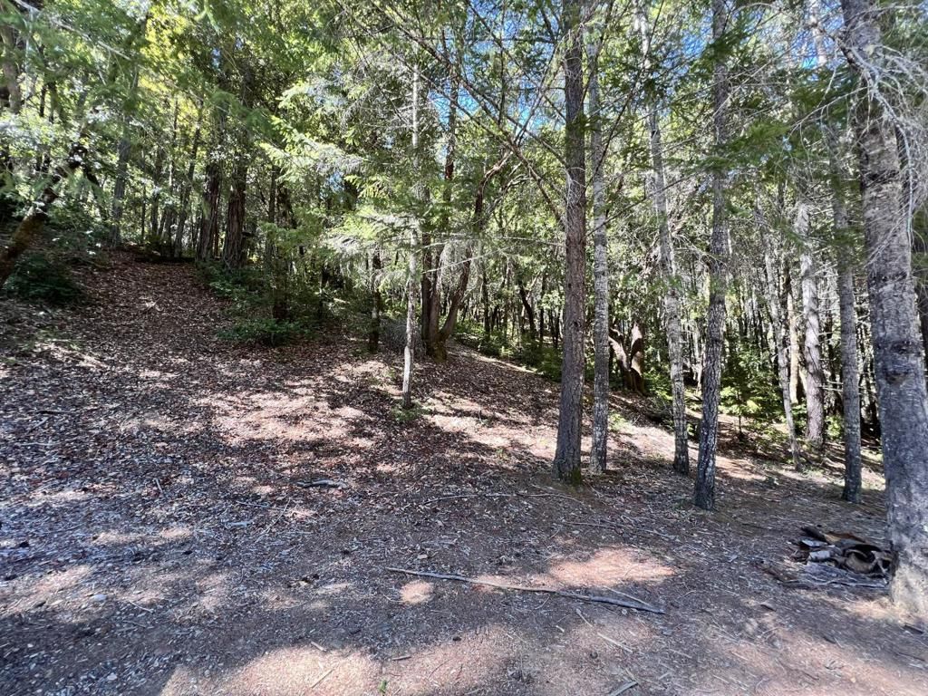 24858 Clover Road, Willits