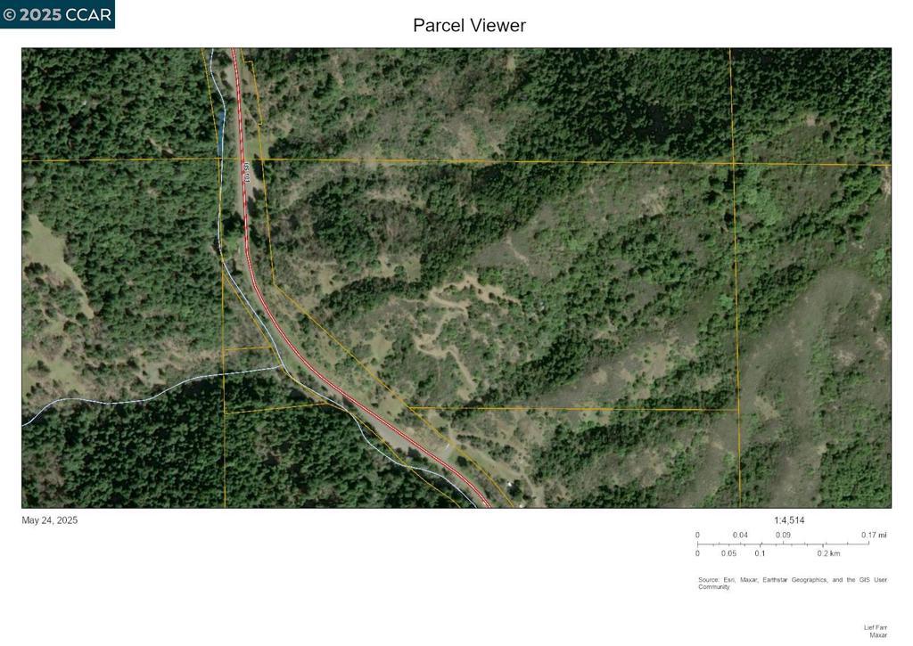 Photo of Listing #41098939