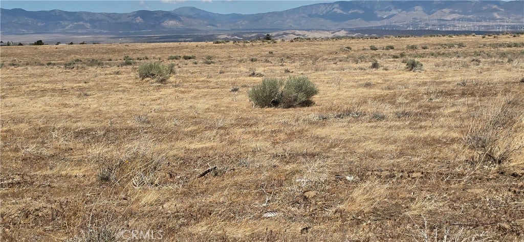 Photo of Listing #IG25117077