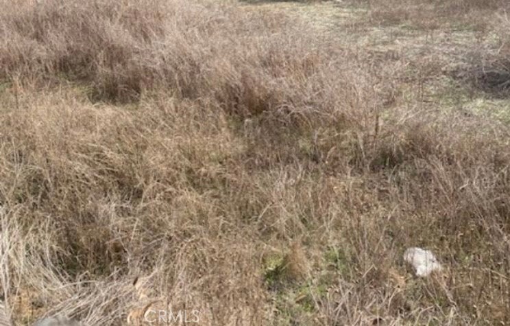 Photo of Listing #PW25117467