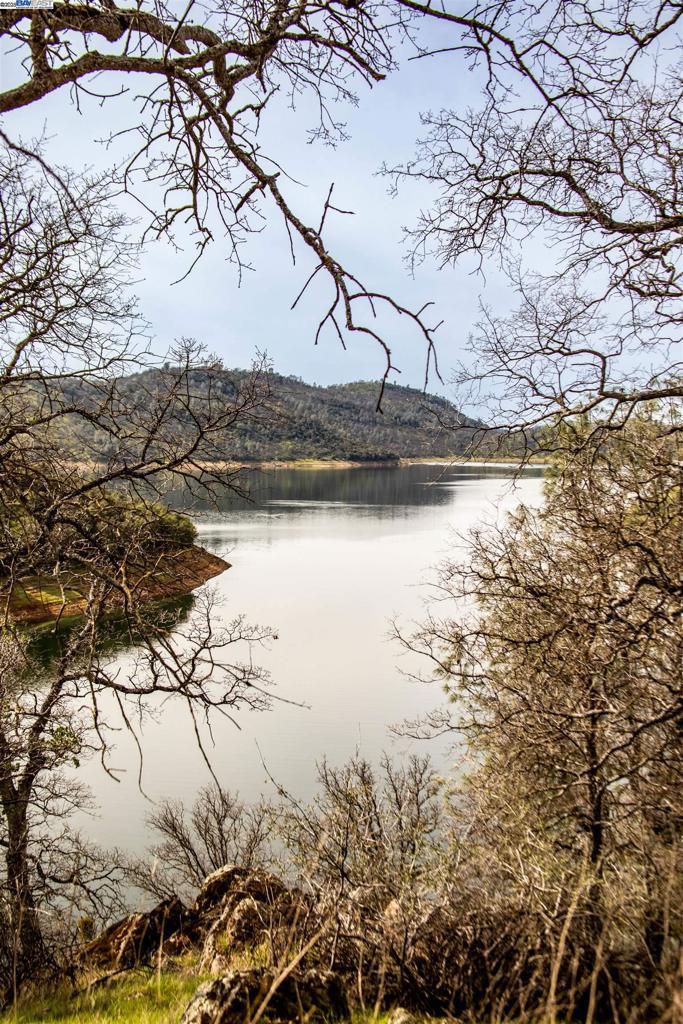 Photo of Listing #41099104